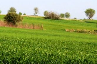 Η κλιματική κρίση απειλεί τις καλλιέργειες σε όλη την Ευρώπη - Νέα προβλήματα φέρνει η παρατεταμένη καλοκαιρία