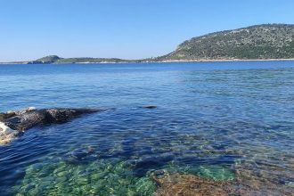 Νορβηγία: Μια νεκρή φάλαινα που έμοιαζε... με μπαλόνι, εντόπισε ψαράς - Γιατί υπήρχε κίνδυνος να εκραγεί