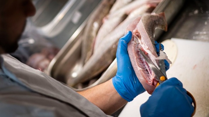 Η δημόσια τηλεόραση της Αυστρίας ζήτησε συγγνώμη επειδή σεφ μαγείρεψε προστατευόμενο είδος ψαριού