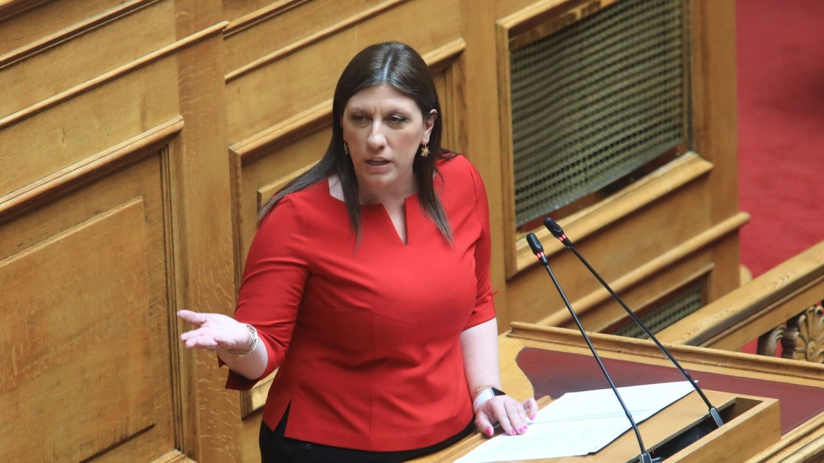 Η Πλεύση Ελευθερίας στηρίζει την πρόταση μομφής προς την κυβέρνηση