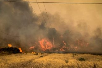 Πυροσβεστική: 49 πυρκαγιές σημειώθηκαν το τελευταίο 24ωρο