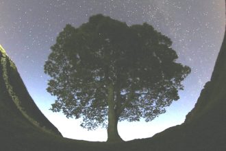 Δίωξη σε βάρος δύο Βρετανών για το κόψιμο του Sycamore Gap, του πλέον εμβληματικού δέντρου της χώρας, ηλικίας 200 ετών