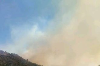 Ανεξέλεγκτη η μεγάλη φωτιά στην Ιεράπετρα: Τέσσερις τραυματίες, ενισχύονται οι πυροσβεστικές δυνάμεις (ΒΙΝΤΕΟ)