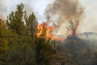 Φωτιά σε δασική έκταση στην Άγναντη Φθιώτιδας