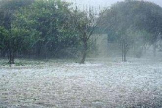 Σημαντικές ζημιές σε αγροτικές καλλιέργειες από την ισχυρή χαλαζόπτωση - Καταστροφές στη Χαλκιδική