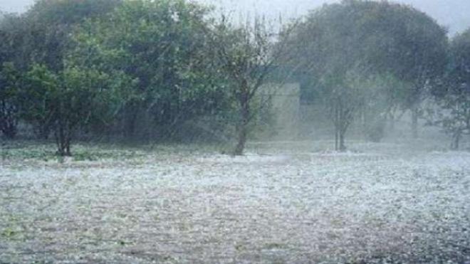 Σημαντικές ζημιές σε αγροτικές καλλιέργειες από την ισχυρή χαλαζόπτωση - Καταστροφές στη Χαλκιδική