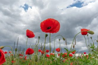 Έρχονται βροχές στα Δυτικά - Ανάσταση με ομπρέλες, πού θα βρέξει την Κυριακή του Πάσχα