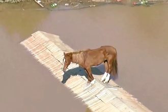 Πλημμύρες στη Βραζιλία: Άλογο είχε παγιδευτεί σε στέγη αγροτόσπιτου