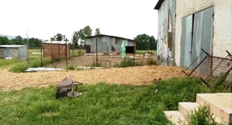 Κιλκίς: Ελεύθερος υπό όρους ο 54χρονος κτηνοτρόφος - Προφυλακίστηκε ο 38χρονος για την απόπειρα ληστείας