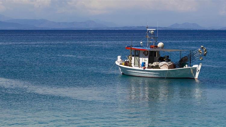 Ιχθυοκαλλιέργεια: Ηγέτιδα δύναμη η Ελλάδα στις διεθνείς αγορές