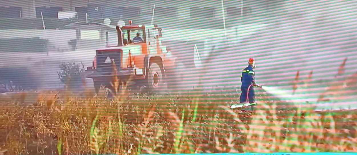 Σε εξέλιξη φωτιά κοντά στα διόδια Ελευσίνας