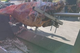 Τραγωδία: Νεκρή 13χρονη από κεραυνό - Τραυματίστηκε η μητέρα της