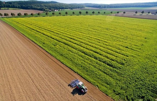 ΚΑΠ: Προδημοσίευση του νέου προγράμματος βιολογικής γεωργίας – κτηνοτροφίας