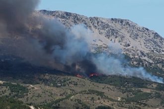 Χίος: Στάχτη 270 στρέμματα δάσους και καλλιεργειών από την μεγάλη πυρκαγιά στις Καρυές