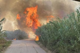 Φωτιά στην Καλαμπάκα – Εκκενώνεται η περιοχή Ορθοβούνι