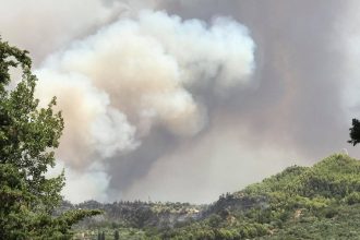 Φθιώτιδα: Φωτιά στην περιοχή της Ελάτειας – Σηκώθηκαν και αεροσκάφη
