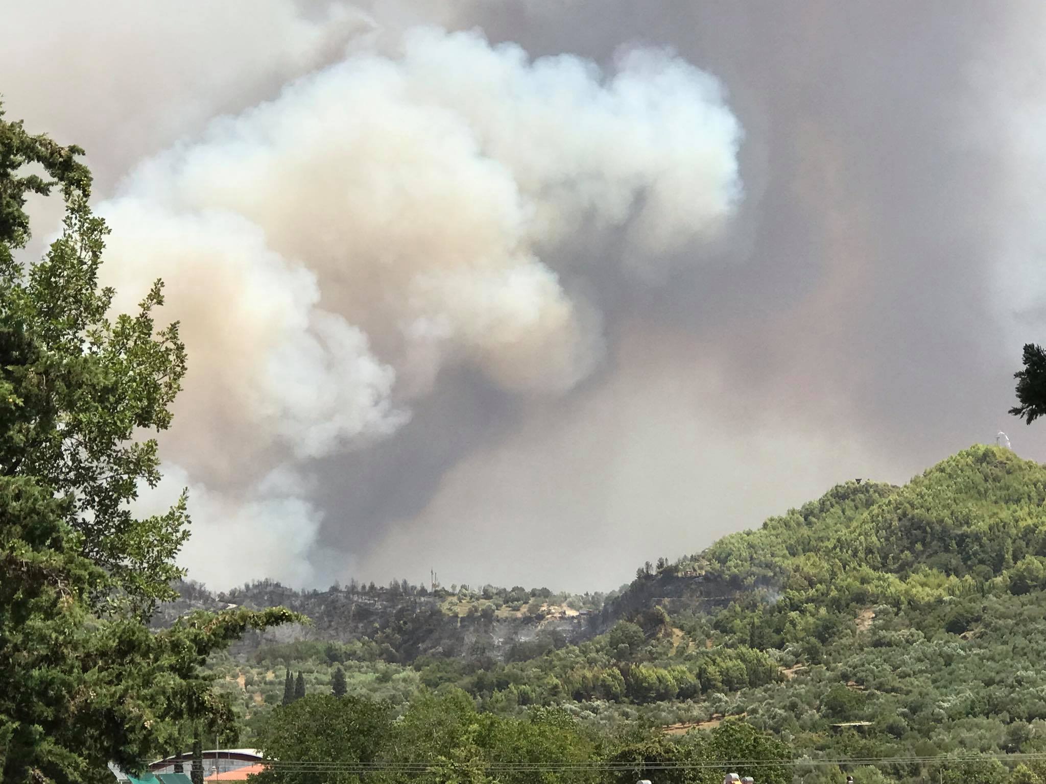 Φθιώτιδα: Φωτιά στην περιοχή της Ελάτειας – Σηκώθηκαν και αεροσκάφη