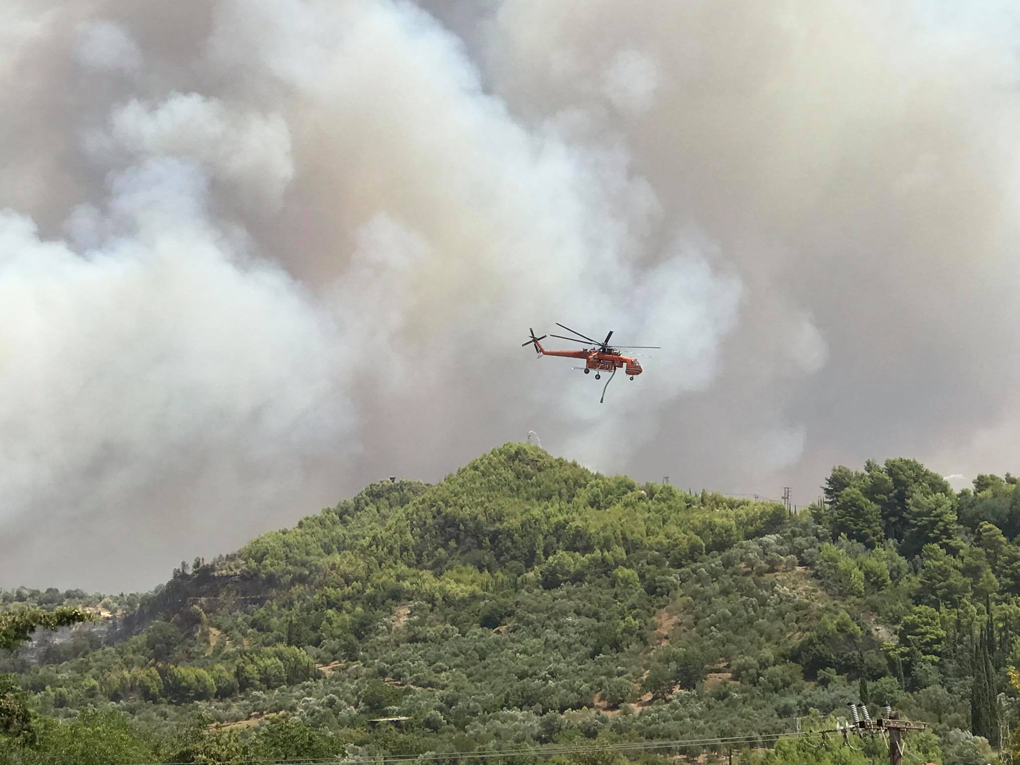 Φωτιά σε ρέμα στο Καπανδρίτι