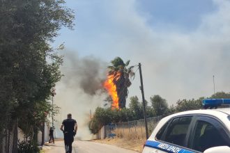 Μεγάλη φωτιά στη Βάρης - Κορωπίου: Ζημιές σε σπίτια και επιχειρήσεις - Εκκενώνονται οι περιοχές Λαμπρικά και Κίτσι (ΦΩΤΟ-BINTEO)