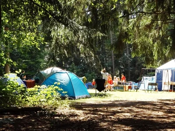 Εισαγγελική παρέμβαση μετά από καταγγελίες πως δεκάδες παιδιά δηλητηριάστηκαν σε κατασκήνωση