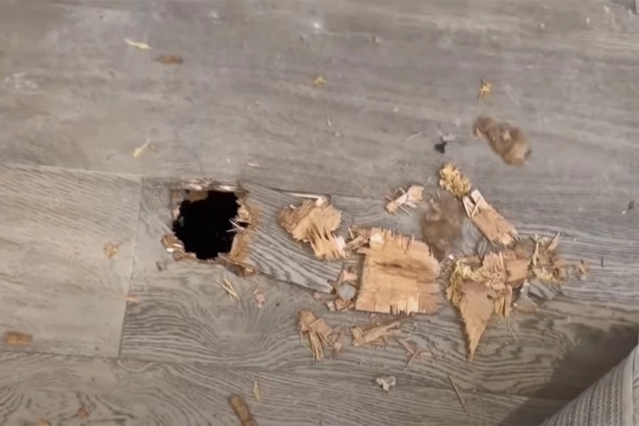 Ο παράξενος λόγος που μια οικογένεια έκανε μήνυση στη NASA