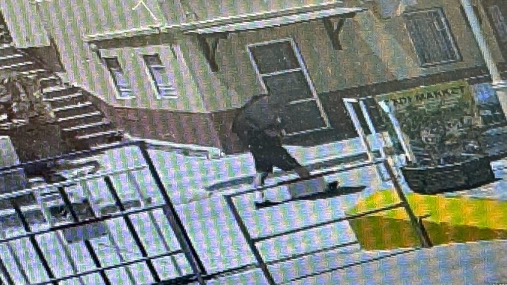 Σύμη: Ο παρουσιαστής του BBC φεύγει από το Πέδι και κατευθύνεται μόνος στο βουνό - Βίντεο ντοκουμέντο