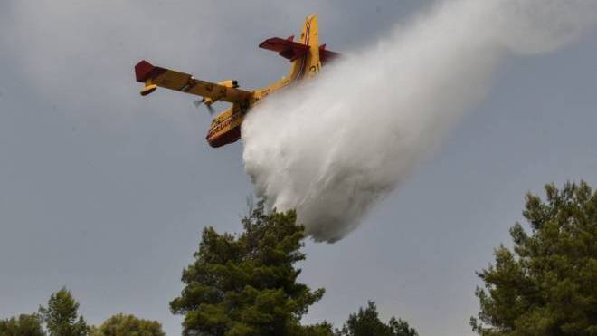Φωτιά στη Λακωνία: Καίγεται δάσος στη Μεγάλη Σπηλιά – Πυρκαγιά και στον Ασπρόπυργο