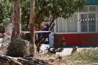 Πατέρας 2 παιδιών ο 47χρονος εργαζόμενος του δήμου που σκοτώθηκε στου Παπάγου - Έπεσε από τον κορμό και τον καταπλάκωσε το δέντρο