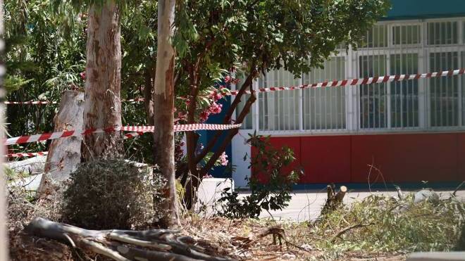 Πατέρας 2 παιδιών ο 47χρονος εργαζόμενος του δήμου που σκοτώθηκε στου Παπάγου - Έπεσε από τον κορμό και τον καταπλάκωσε το δέντρο