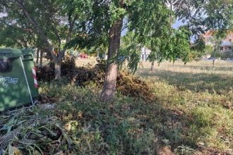 Τι πρέπει να κάνουν οι πολίτες με τις δηλώσεις για τους καθαρισμούς των οικοπέδων