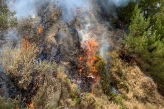 Φωτιά στη Λακωνία: Μεγάλη κινητοποίηση της Πυροσβεστικής – Σηκώθηκαν 4 εναέρια μέσα