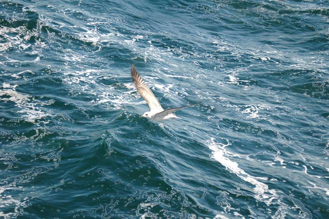 Ολοκληρώνεται η εντυπωσιακή έκθεση: ΜΕΤΑΠΟΙΗΣΗΣ / Εικαστική προσέγγιση της metaφωτογραφίας