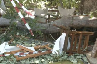 Λιτόχωρο: «Πέθανε μπροστά στα μάτια του συζύγου της», λέει η νύφη της 44χρονης που σκοτώθηκε από κλαδί πλατάνου