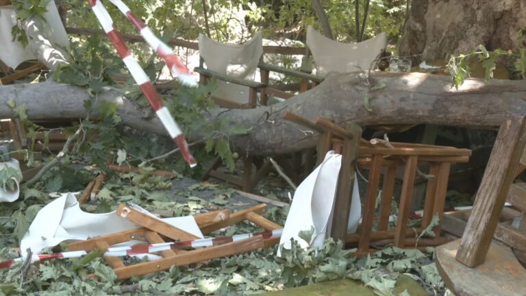 Λιτόχωρο: «Πέθανε μπροστά στα μάτια του συζύγου της», λέει η νύφη της 44χρονης που σκοτώθηκε από κλαδί πλατάνου