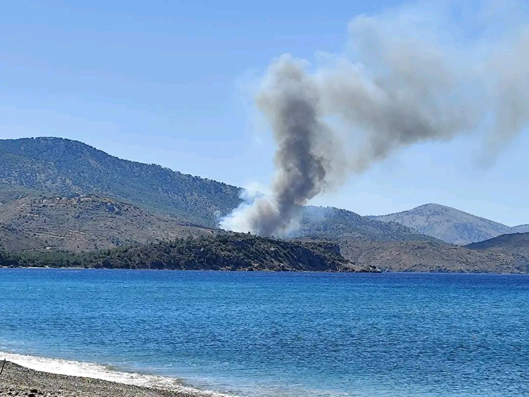 Πυρκαγιά στη Χίο - Μήνυμα από το 112, εξαπλώνονται γρήγορα οι φλόγες