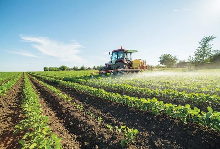 Πρόγραμμα Νέων Γεωργών: Έως και 40.000 € σε κάθε δικαιούχο - Οι προϋποθέσεις και δεσμεύσεις