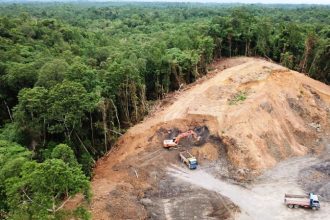 Πόλεμος για το μαόνι και τον κέδρο - Οι εταιρείες υλοτομίας εκτοπίζουν τις «αόρατες» φυλές του Αμαζονίου