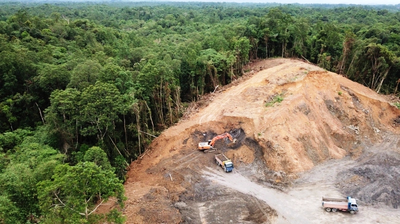 Πόλεμος για το μαόνι και τον κέδρο - Οι εταιρείες υλοτομίας εκτοπίζουν τις «αόρατες» φυλές του Αμαζονίου