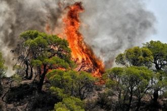 Πολύ υψηλός κίνδυνος πυρκαγιάς την Τρίτη για τη μισή Ελλάδα: Οι 16 περιοχές με «πορτοκαλί» συναγερμό