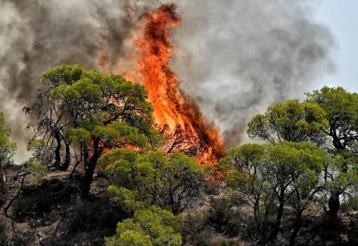Πολύ υψηλός κίνδυνος πυρκαγιάς την Τρίτη για τη μισή Ελλάδα: Οι 16 περιοχές με «πορτοκαλί» συναγερμό