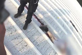 Βίντεο αμέσως μετά την απόπειρα δολοφονίας Τραμπ - Άνδρες των Μυστικών Υπηρεσιών δίπλα στη σορό του δράστη