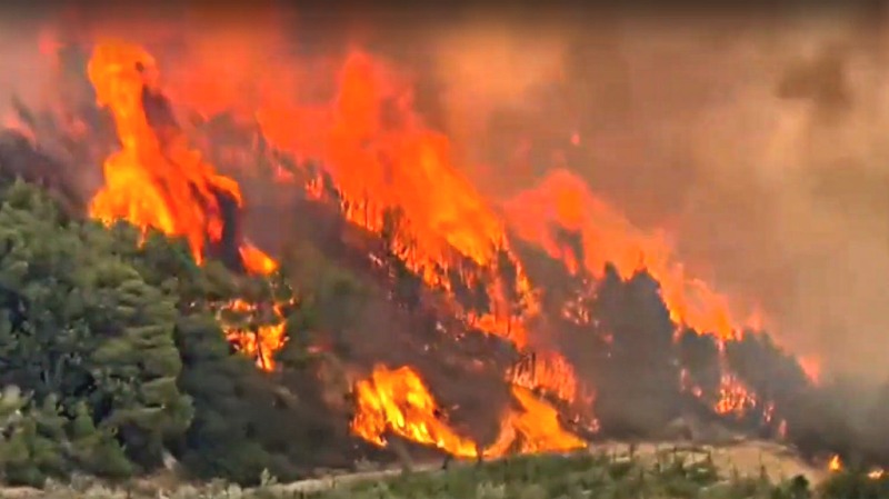 Κόρινθος: Καίει ανεξέλεγκτη η μεγάλη φωτιά - Οι φλόγες κατευθύνονται στο Κούτσι Νεμέας, μήνυμα από το 112 (ΒΙΝΤΕΟ)