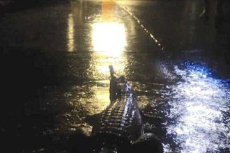 Αυστραλία: Αγνοείται 12χρονος που φέρεται να δέχθηκε επίθεση από κροκόδειλο