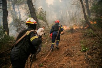 Υπό μερικό έλεγχο η πυρκαγιά σε δασική έκταση στη Δάφνη Βοιωτίας