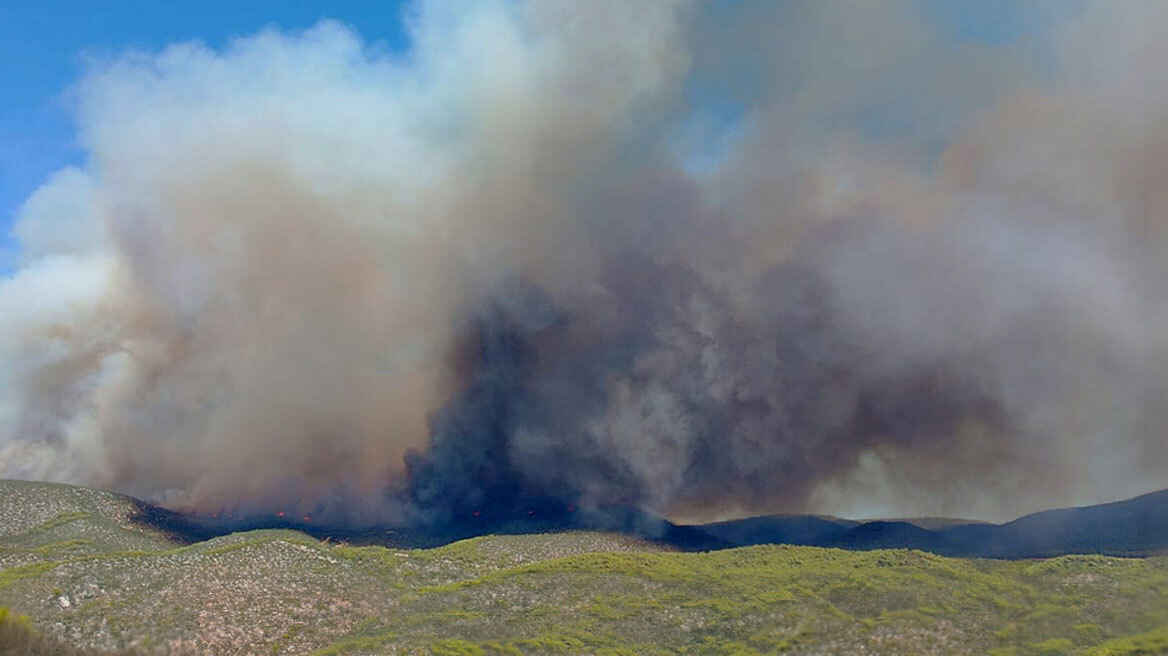 Φωτιά στην Εύβοια: Εκκενώνονται 4 οικισμοί – «Κρίσιμη η κατάσταση, κοντά στα σπίτια οι φλόγες»