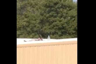 Νεκρός ο ελύθερος σκοπευτής που πυροβόλησε τον Τραμπ από 125 μέτρα απόσταση