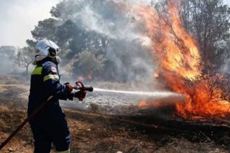 Πυροσβεστική: 30 πυρκαγιές μέσα σε 24 ώρες