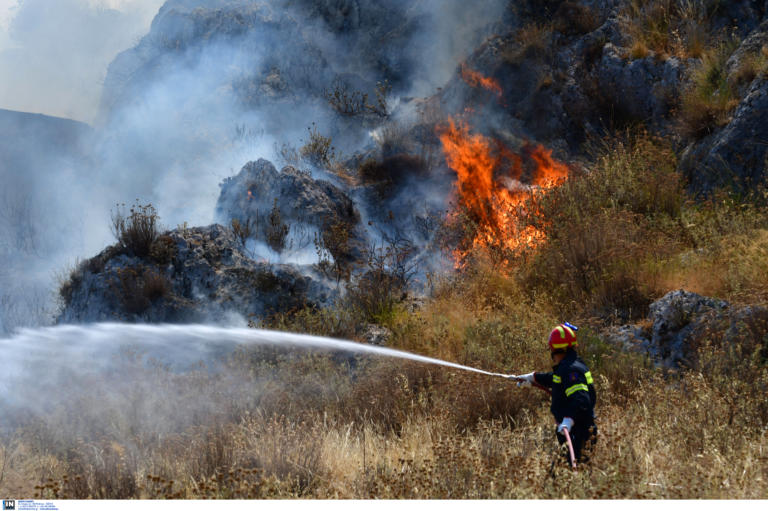Φωτιά στον Λαγκαδά Θεσσαλονίκης: Επιχειρούν 2 αεροπλάνα και 2 ελικόπτερα