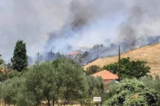 Φωτιά κοντά σε σπίτια στο Τρίλοφο Θεσσαλονίκης - Εστάλη 112