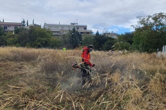 Ακαθάριστα οικόπεδα: Τέλος χρόνου - Όποιος πρόλαβε… τα «καθάρισε» - Εκπνέει σήμερα η διορία